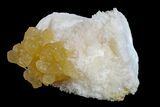 Yellow Calcite On Scolecite (Zeolite) Sprays - Maharashtra, India #168700-1